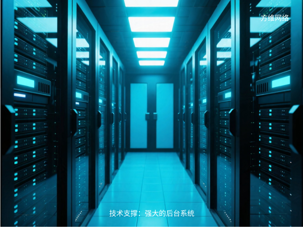 技术支撑:强大的后台系统