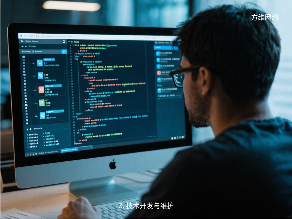 3. 技术开发与维护