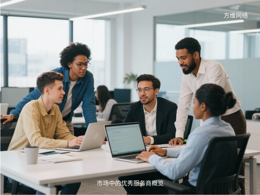 市场中的优秀服务商概览